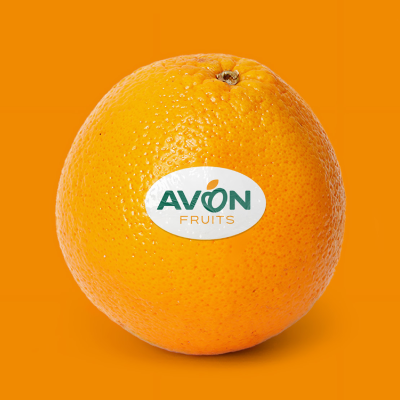 Avon-Fruits-Logo-Concept-02-B-11